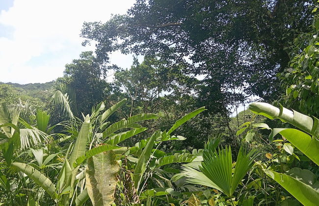 Cabaña Nuisuni - Foto 1