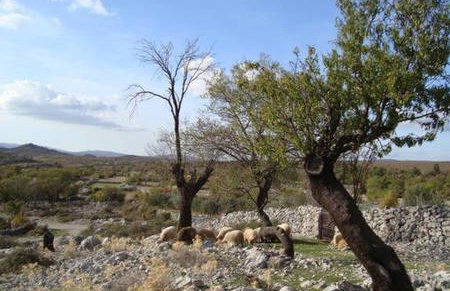 Nike house - Foto 40