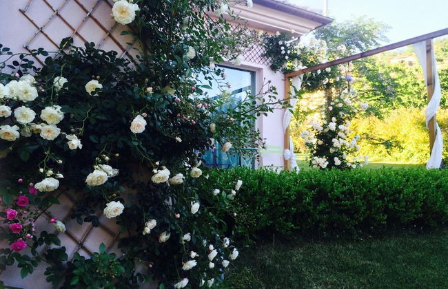 Altrocanto - Foto 57