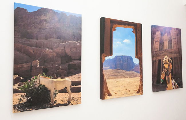 BnButler - Vigevano 13 - Photo 21