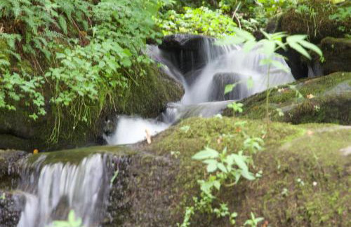 Windows Over Waterfalls - Foto 9