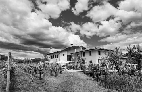 Agriturismo Scribano - Foto 27