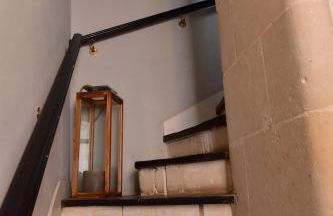 Les sternes de st Mathurin sur Loire , terrasse sur la Loire - Photo 18