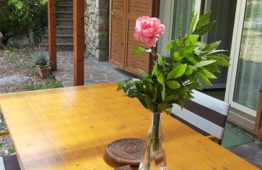 L' Amabile Geko - Foto 13