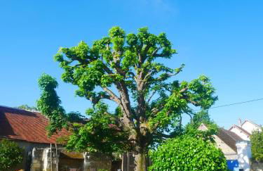 Au Coeur de la Cour - Foto 21