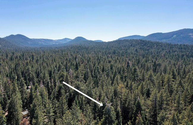 Alpine Gem Near Homewood Mountain! - Foto 15