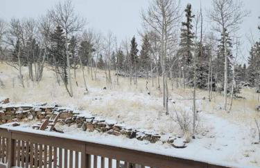 Fox Hole Serene Secluded Private Cabin Hot Tub - Foto 26