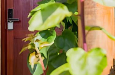 Manga Verde Milagres - Foto 62