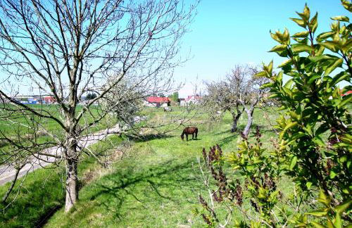 Ferienhaus Vera - Foto 19