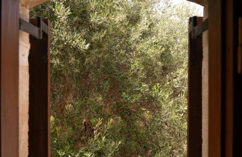 liofito village house - Foto 18