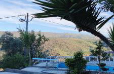 Mira Pombeira - Foto 18