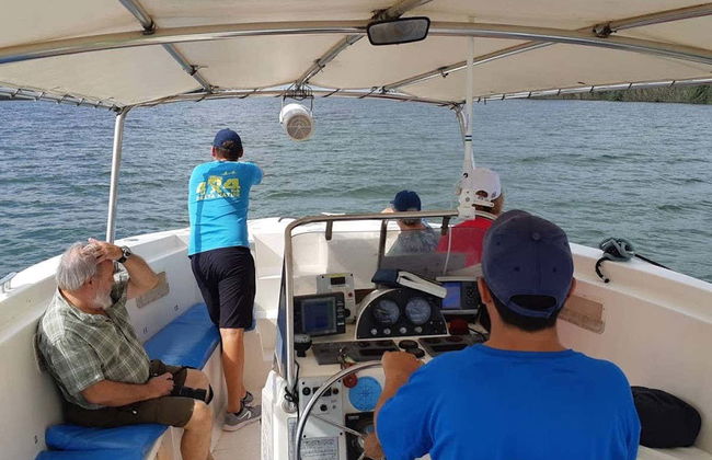 Tour de 4x4 e passeio de barco pelo Delta do Ebro + Degustação de vinhos e mexilhões - Foto 2