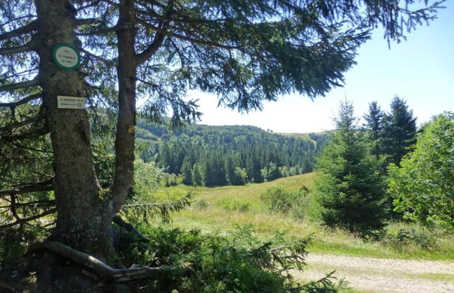 Chalet in La Bresse With Valley Views - Photo 29