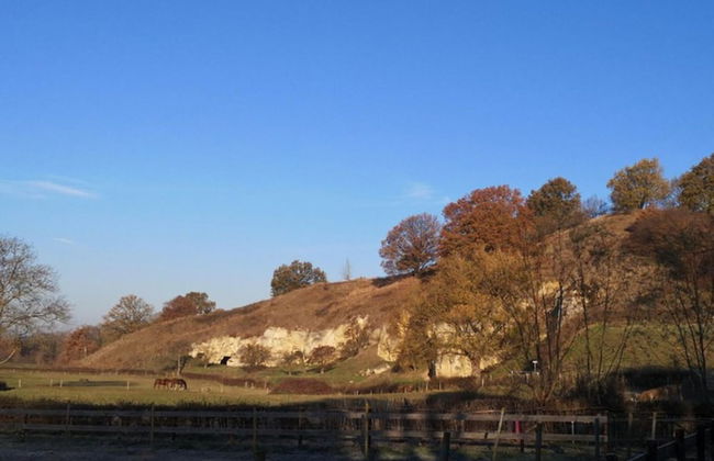 Chic Home With Sauna - Photo 43