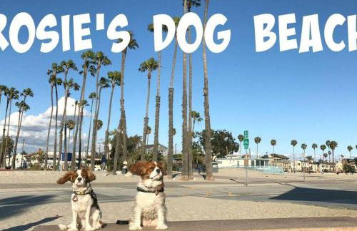 Huge Updated Spanish Apt - Steps to Beach & Bay! - Foto 14