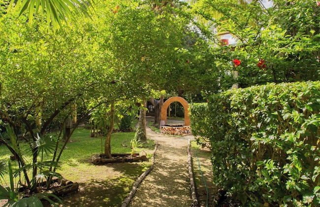 Mini Pini Birdwatching and Cenote Loft4 you Only - Foto 49