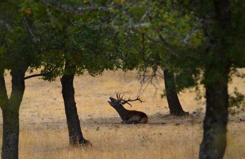 Casa Rural Mirador de los Tomillos - Foto 62