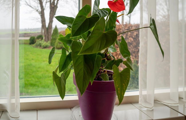 Attractive Holiday Home in Spier With Garden - Foto 25