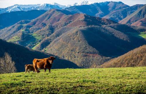 L'Aldeaperdida - Foto 20