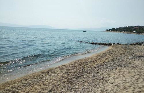 Ananias House - Foto 60