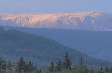 Ty Golchi - Cosy traditional cottage in Corris - Photo 16