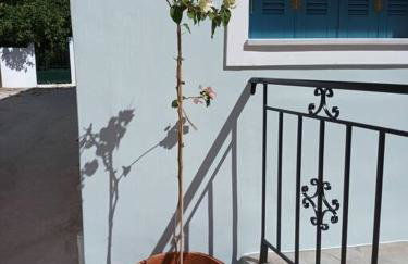 Studio Bella - Foto 19