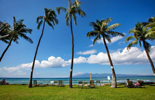 Paki Maui 313 - Foto 24