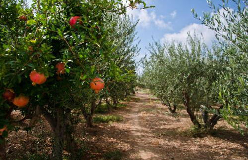 Helen's Minimal Studios & Apartments - Photo 54