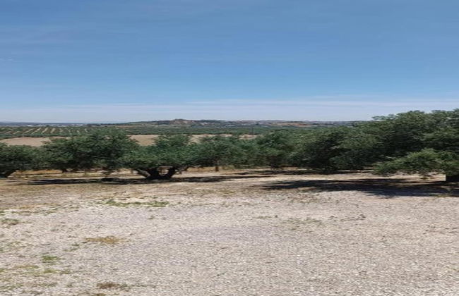 Apartment in Montilla Near Palacio Medinaceli - Foto 31