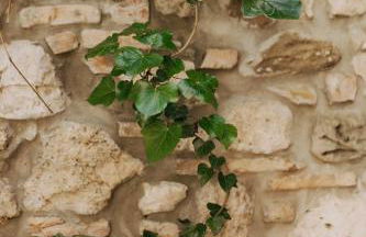 Charme in Centro with private parking - Photo 16