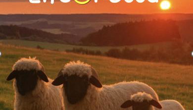 FerienLoft Eifeel Good - Natururlaub in Monschau - Foto 3