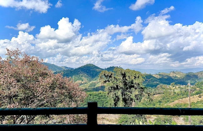 Maesalong Villa - Foto 66