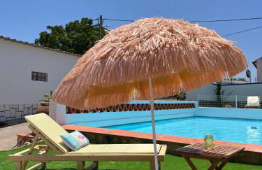 Horta do Monte - Foto 10