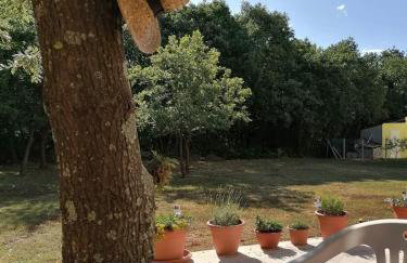 Tiny house Dora - Foto 20