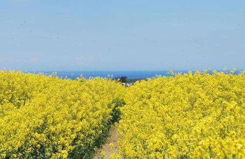 Ferienhaus in der Naehe der Ostsee - Foto 70