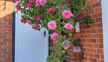 Church Farm Accommodation - Foto 4, Garden, Garden view