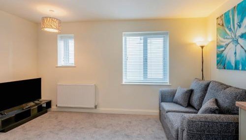 Dunlin - Uk48162 - Foto 4