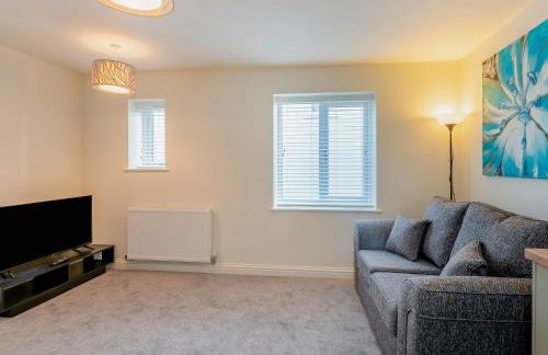 Dunlin - Uk48162 - Foto 4