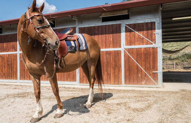 Agriturismo Goccia di Luna - Foto 67