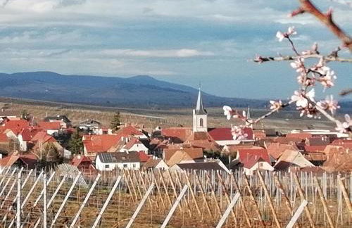 Gîtes Marschall Jean-Pierre - Foto 30