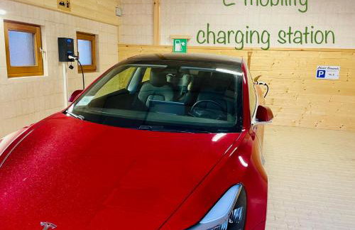 Chalet Bernardi Apartments - Photo 71