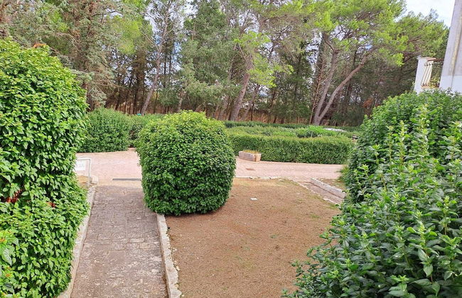 Tenuta Lo Cuoccio - Foto 22