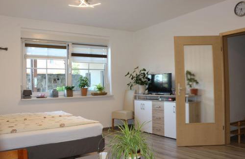 Apartment Paula by Interhome - Foto 2