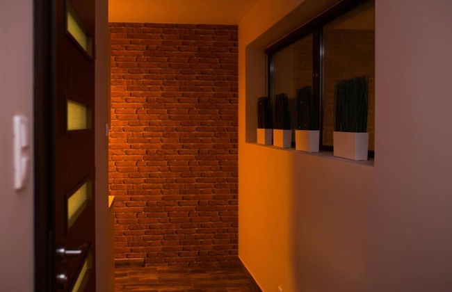 Dream Aparts - Lofty Scheiblera - Foto 26