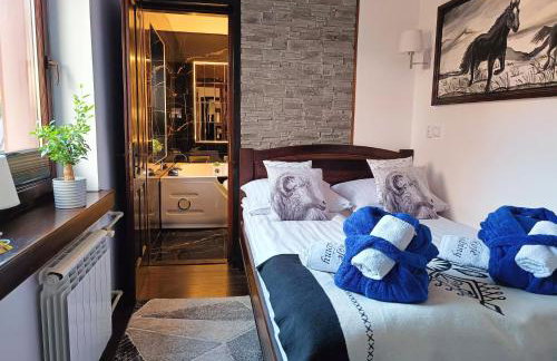 Pokoje i apartamenty u Sabiny - DOSTĘP DO JACUZZI TYLKO W WYBRANYCH OPCJACH sprawdź poniżej szczegóły rezerwacji - Photo 7