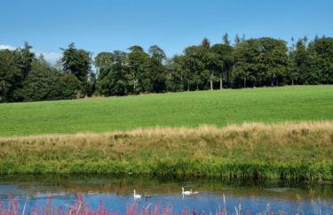 Serviced Apartment - Aberdeen - Foto 23