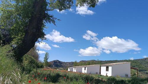 Casas Natura Suites Graus - Foto 3