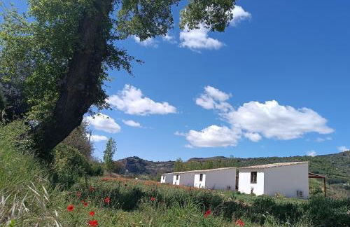 Casas Natura Suites Graus - Foto 3