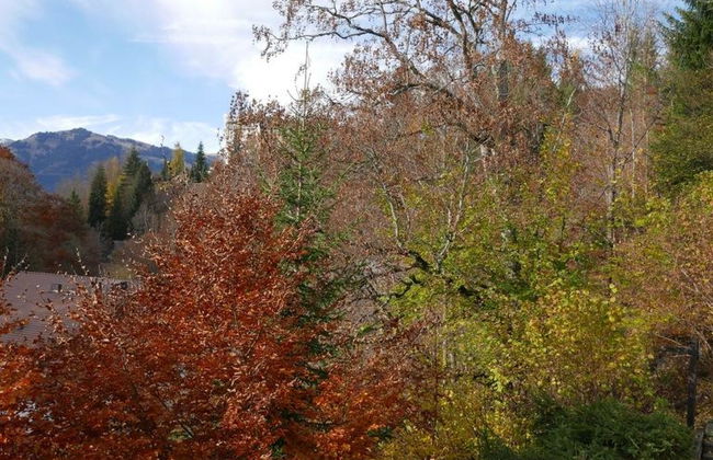 Tree-Tops, Chalet - Foto 18