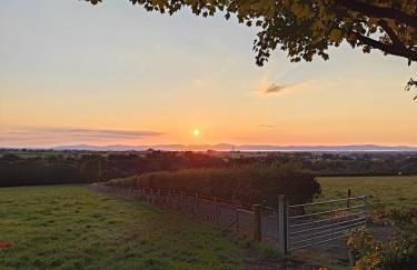 Branch cottage - Foto 13